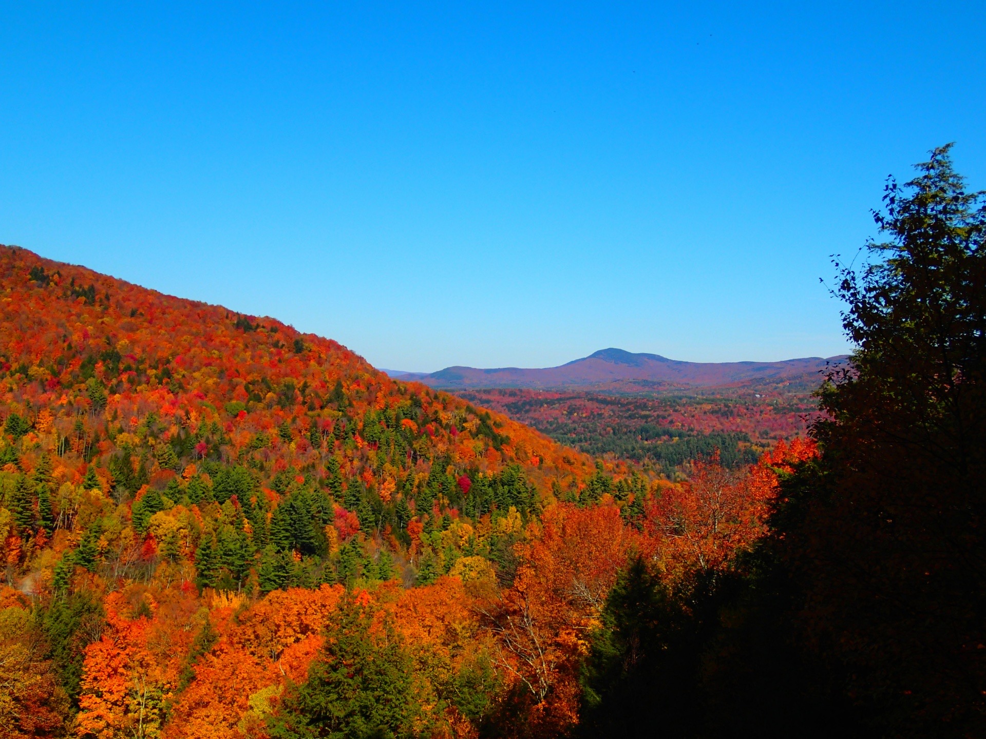 Reader submitted foliage photo from Ardis  Beauchemin.